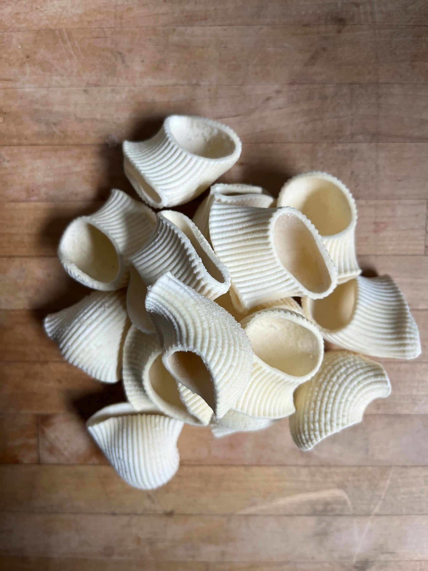 Pasta Conchiglie [Frozen]